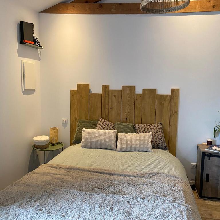 Paisible Studio Climatisé avec jardin Bassin Arcachon - Appartement 1 Chambre - 13