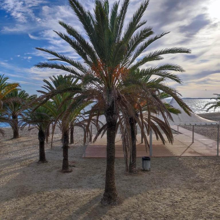 Apartament typu studio Santa Pola - Apartamento de 1 dormitorio - 20