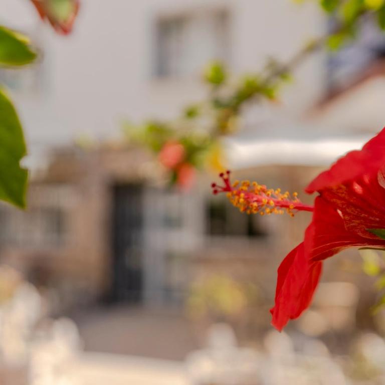 RentitSpain - Torremolinos - Pequeño Paraíso de Confort con Piscina - Apartamento de 1 dormitorio - 12
