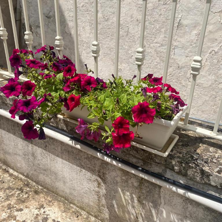 Porta Blu Apulia - Appartamento con 1 Camera da Letto - 24