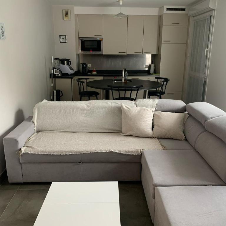 Royal Parc Annecy Centre with Garage - Apartment mit 1 Schlafzimmer - 1