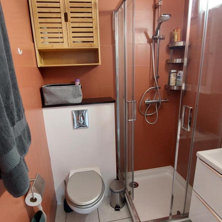 Studio F1 avec jardin, proche du Palais des festivals et des plages - Appartement 1 Chambre - 9