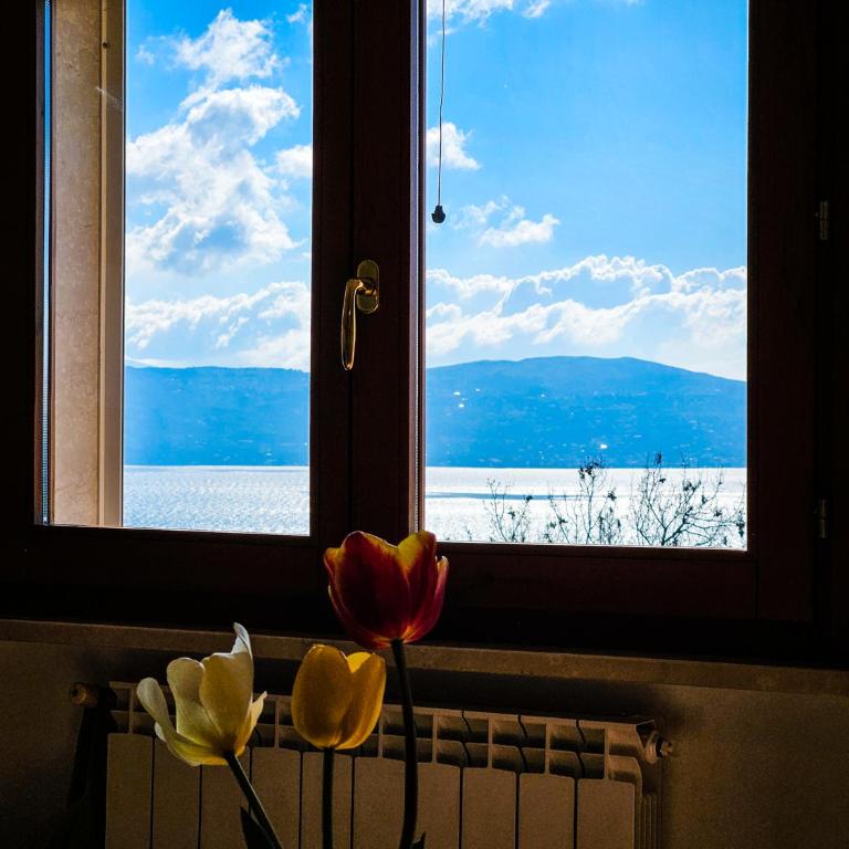Altavista - Vista lago panoramica 180 gradi - Appartamento con 2 Camere da Letto - 30