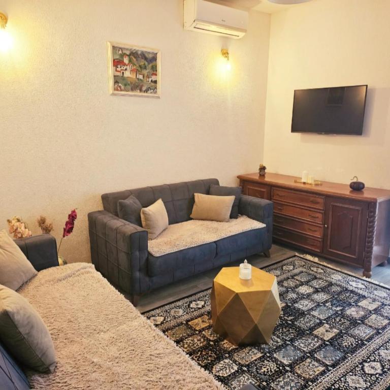Apartman Sofija - Apartman sa 1 Spavaćom Sobom - 9