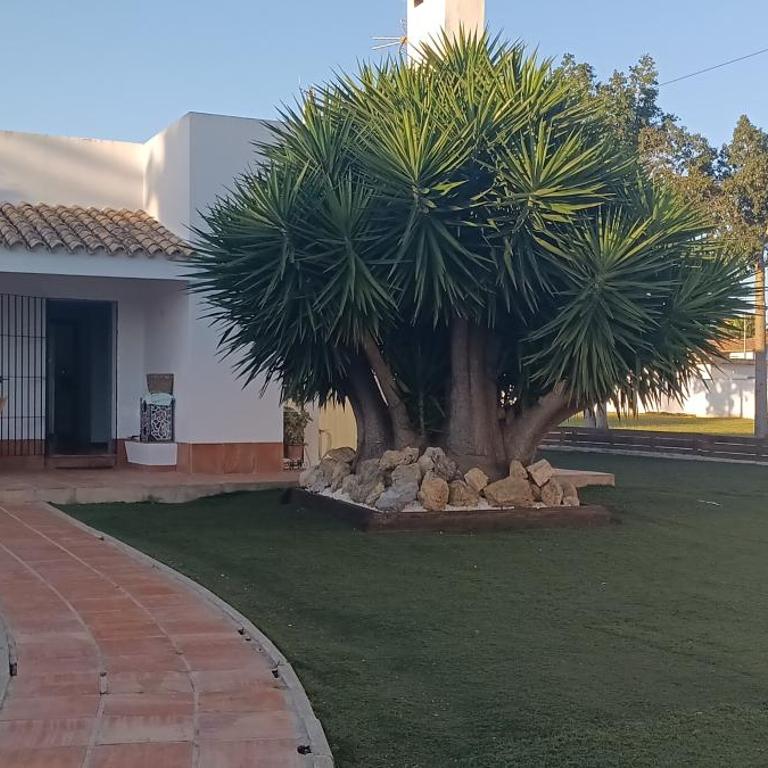 Villa - Three-Bedroom Villa - 43