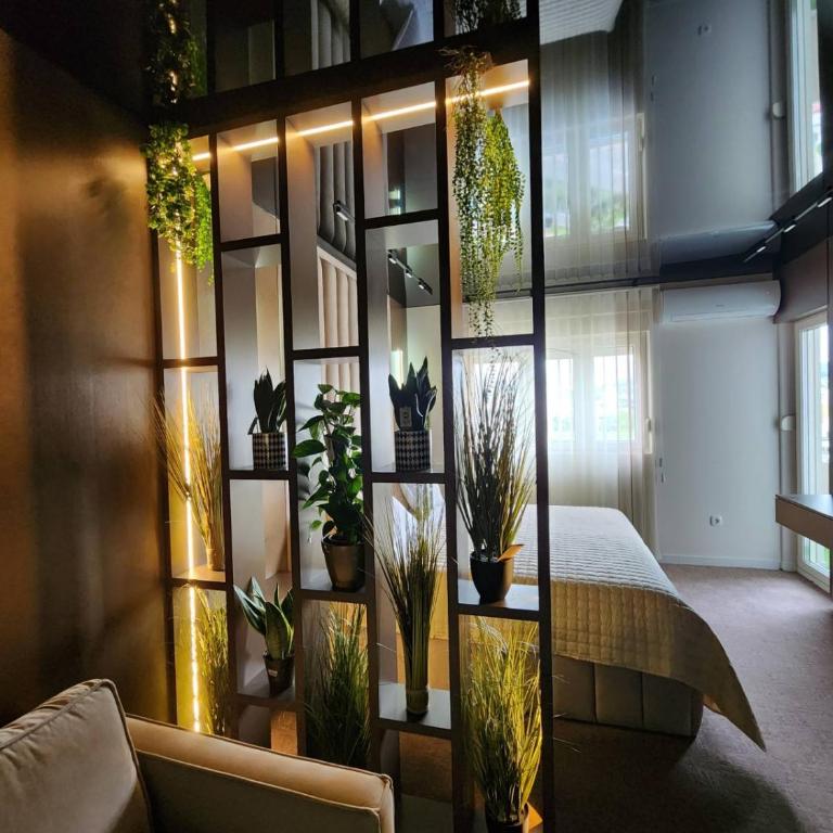 Harmony Apartments - Apartman - 1