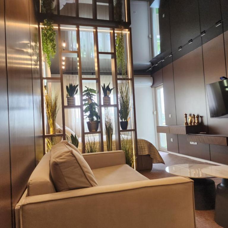 Harmony Apartments - Apartman - 34