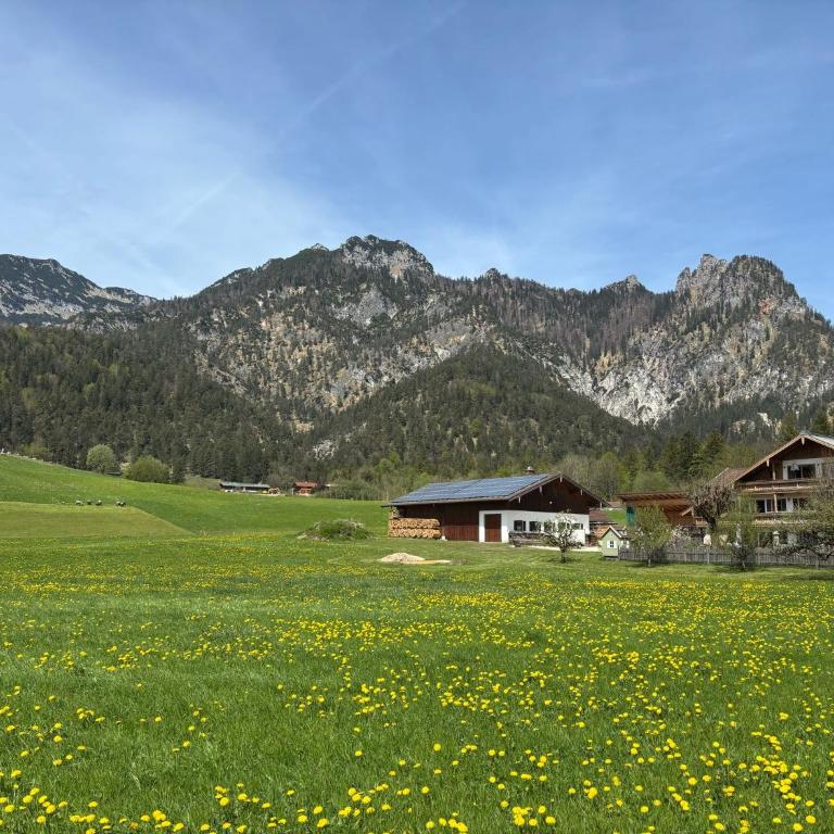 Sellboden - Apartment mit 3 Schlafzimmern und Balkon - 6