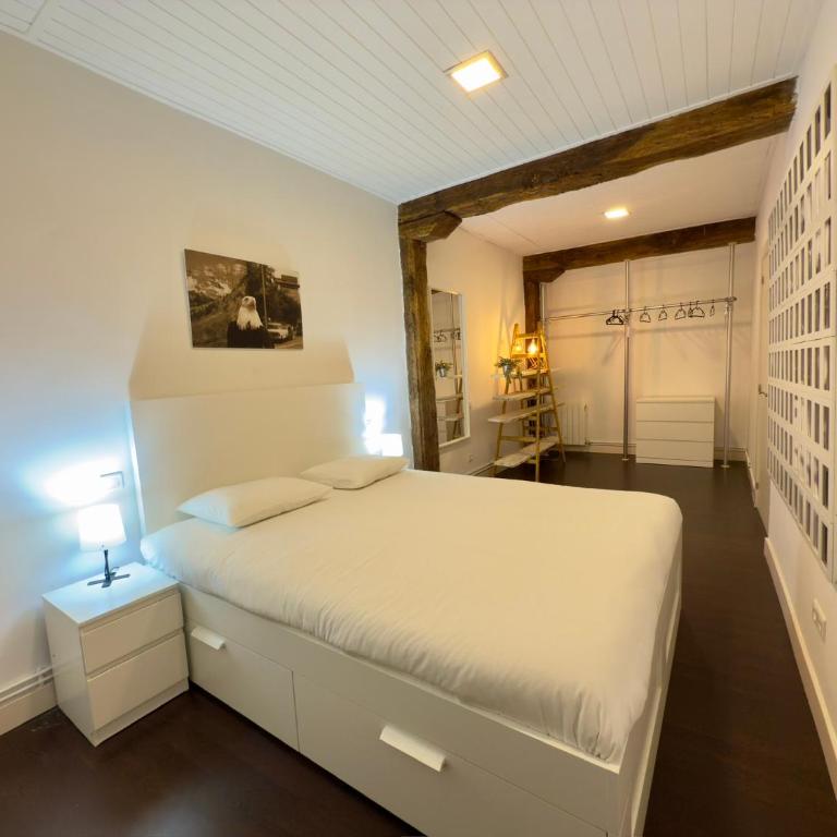 Arte y Diseño junto al Casco Viejo de Bilbao - Two-Bedroom Apartment with Balcony - 5