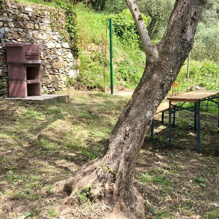 Casa Marri - Apartment mit 3 Schlafzimmern - 7