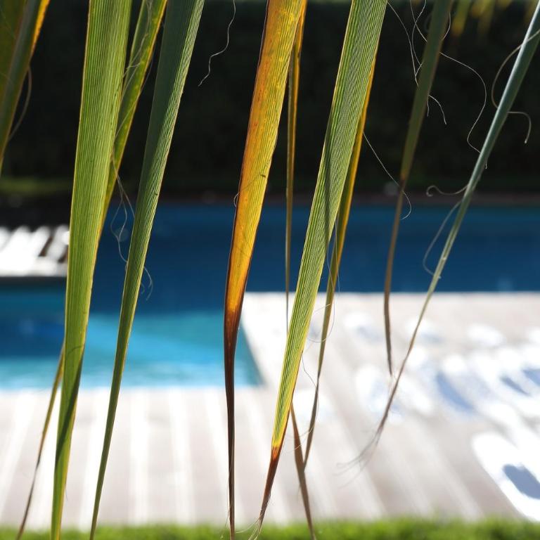 2-room apartment near Cefalù with 2 pools - Casa Vacanze Luna - Appartamento con 2 Camere da Letto - 43