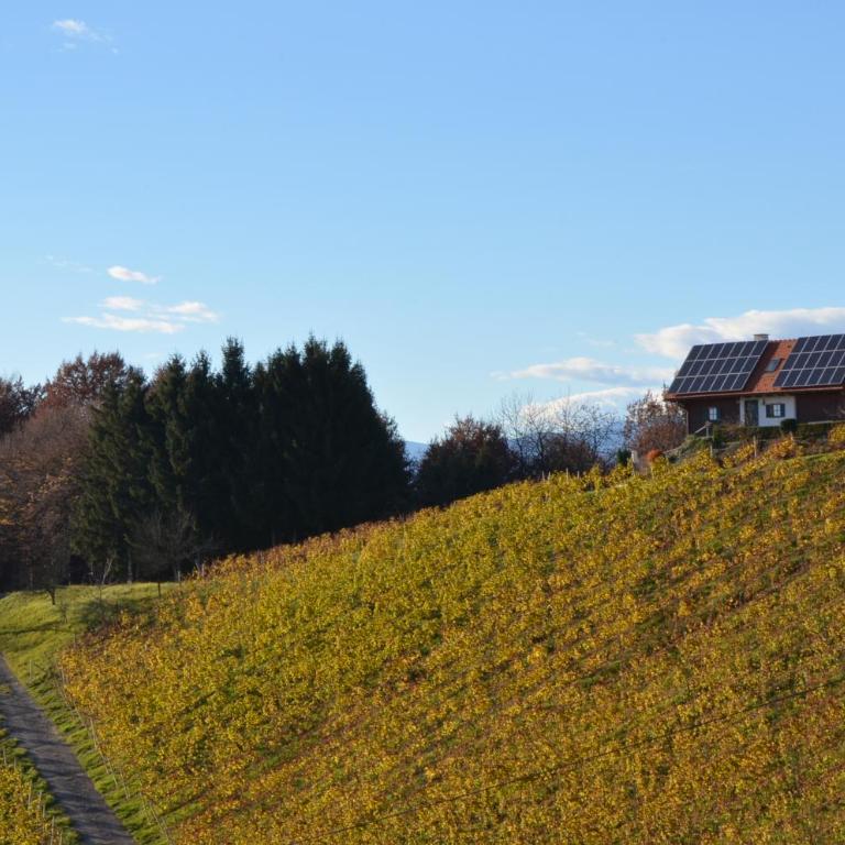 Kröll-Hube - Ferienhaus - 10