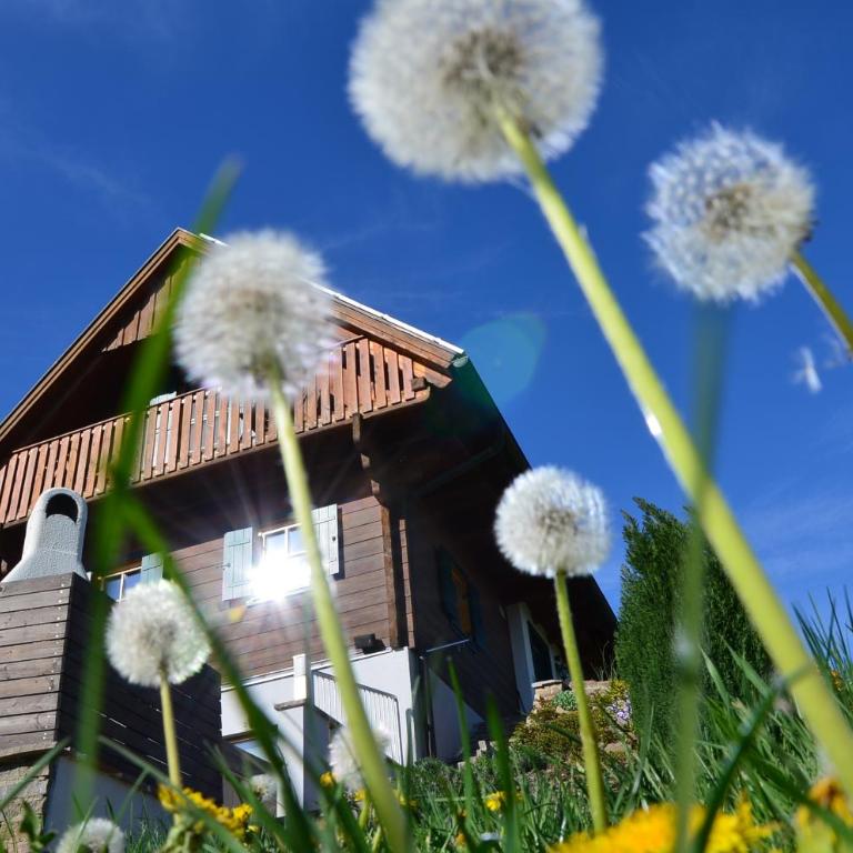 Kröll-Hube - Ferienhaus - 3