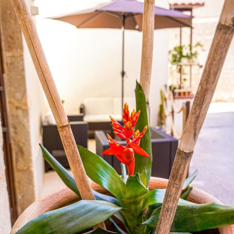 Casa Vacanza Stomar - Apartment mit 1 Schlafzimmer - 32