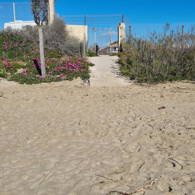 Appartement T3 piscine-Acces direct plage - Marseillan Plage - Appartement 2 Chambres - 11