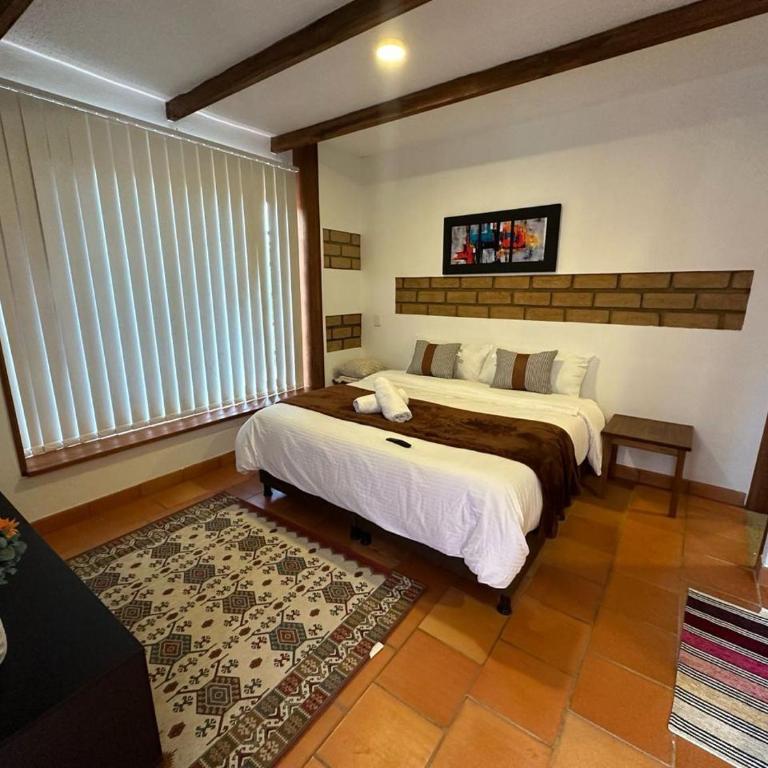 Hotel Pliosaurio Campestre - Suite con cama grande - 4