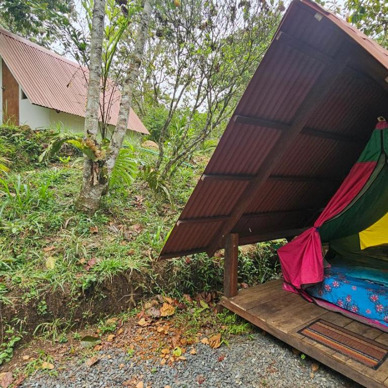 Glamping Montaña de Sueños - Cabaña con vistas al jardín - 5