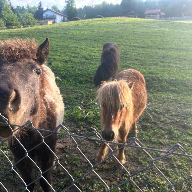Relax House - Vila sa 2 Spavaće Sobe - 42