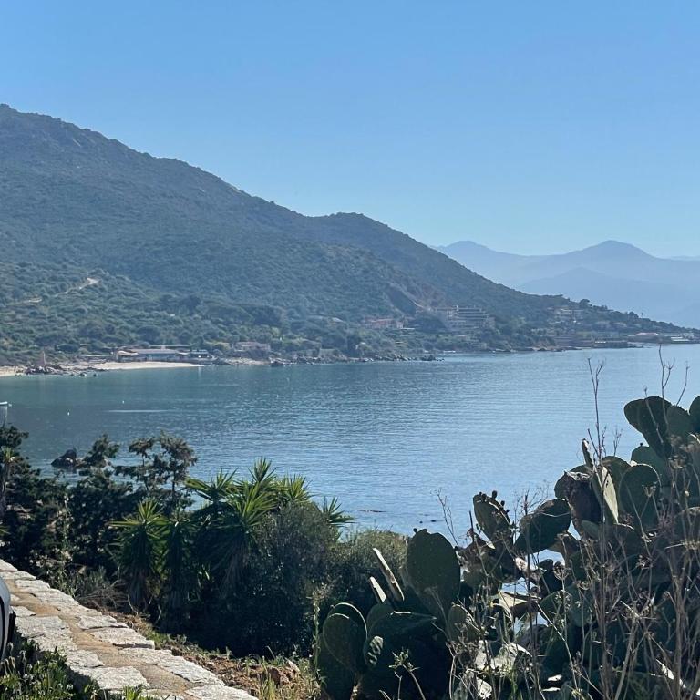 Appartement de luxe type 4 Eden Suite Sanguinaires vue mer avec piscine chauffée résidence Ajaccio - Apartment mit 3 Schlafzimmern - 79