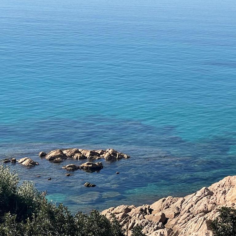 Appartement de luxe type 4 Eden Suite Sanguinaires vue mer avec piscine chauffée résidence Ajaccio - Apartment mit 3 Schlafzimmern - 82
