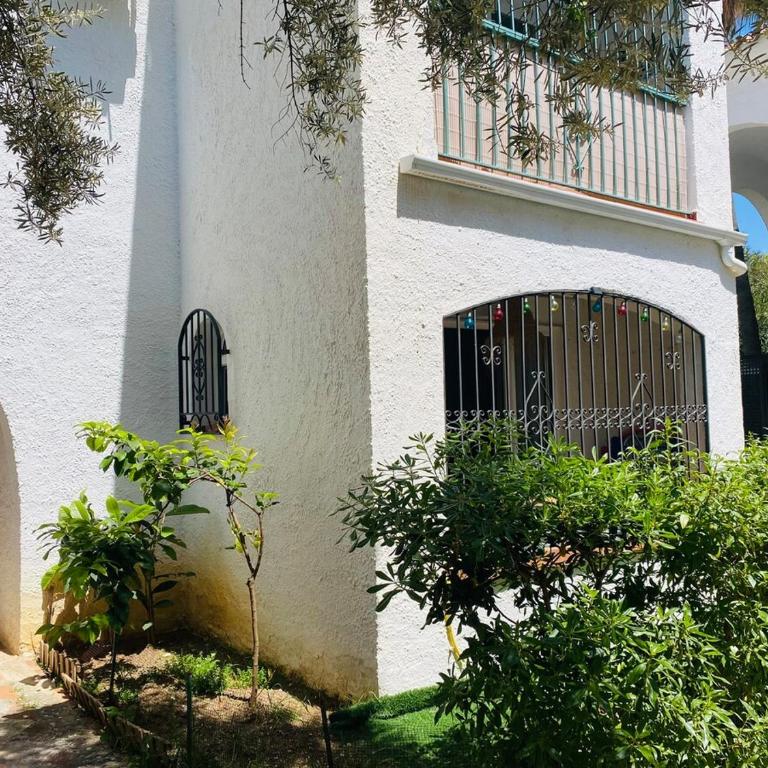 Casa Verde - Ground floor apartment next to the beach - Apartment - Ground Floor - 19