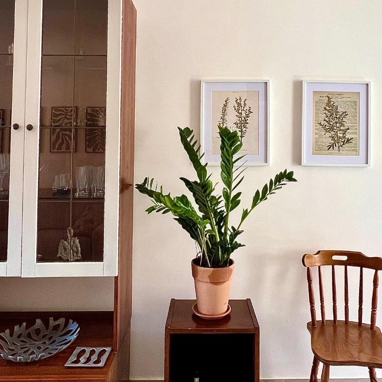 La casa dell'Artemisia - Appartamento con 1 Camera da Letto - 7