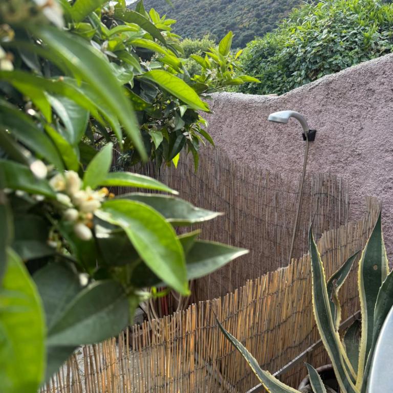 Mazet très calme, dans la colline, plage 15 mins à pied - Maison 1 Chambre - 28