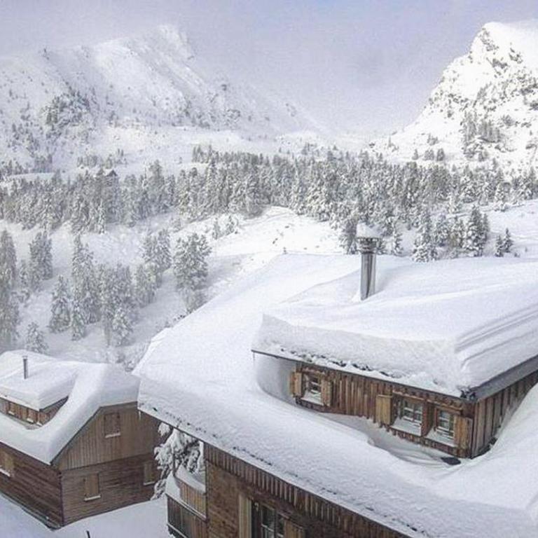 Almhütte Falkert - Superior Chalet - 6