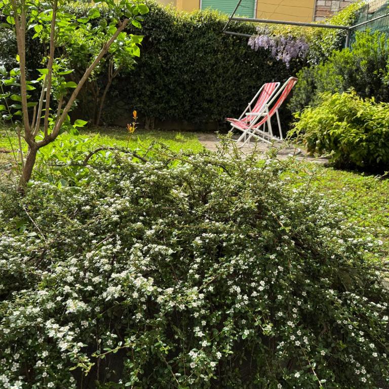 L'angolino apartment - Appartamento con 1 Camera da Letto - 10
