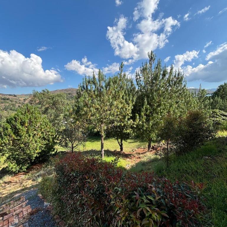 The house in the mountains - Casa de 2 dormitorios - 24