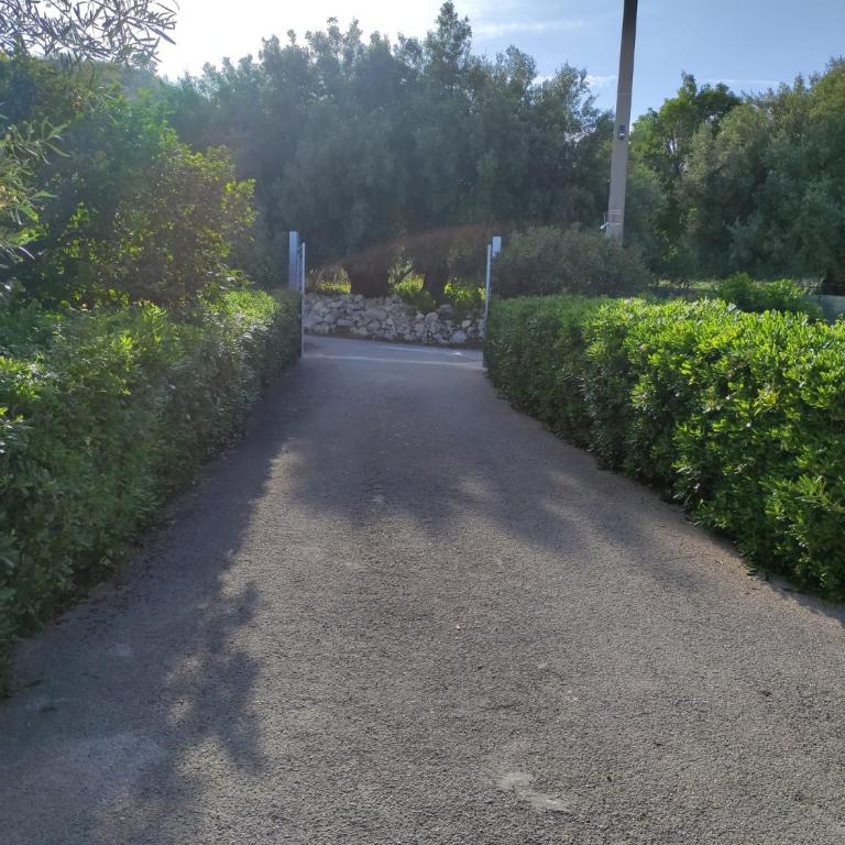 Casa Natura - Casa con 1 Camera da Letto - 50
