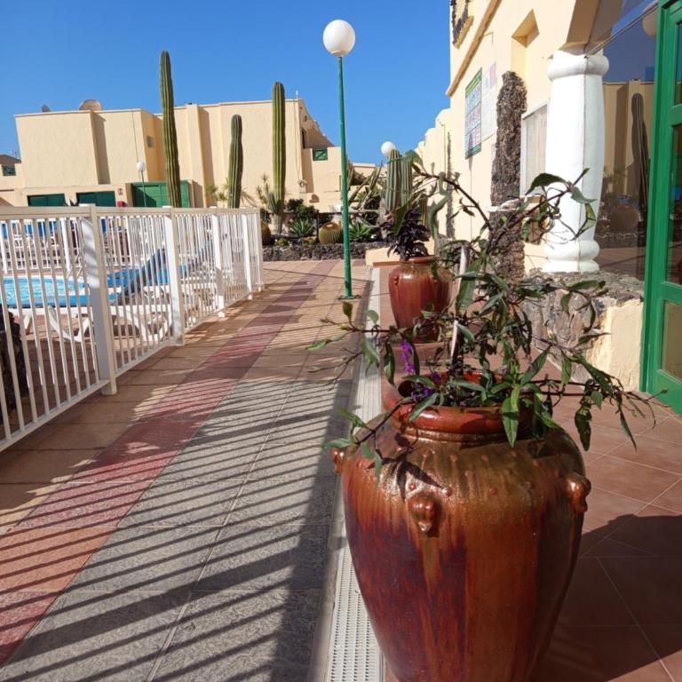 OliMar Dúplex Castillo Mar - One-Bedroom Apartment - 41