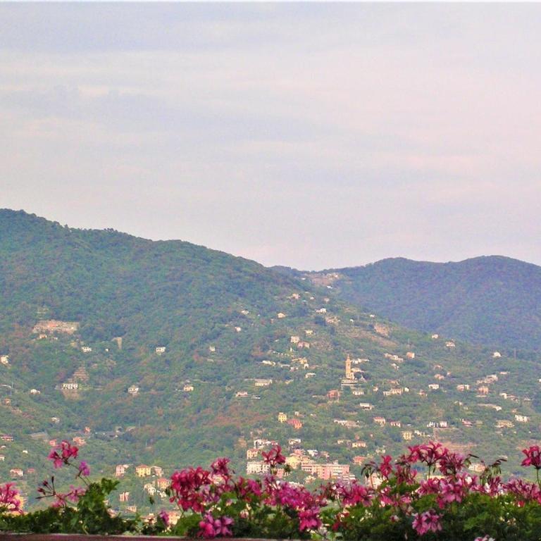 Apartment with a stunning sea view pool tennis - Appartamento con 1 Camera da Letto - 81