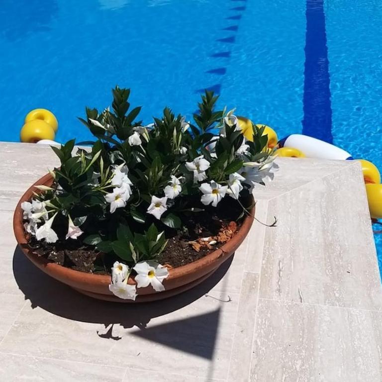 Apartment with a stunning sea view pool tennis - Appartamento con 1 Camera da Letto - 84