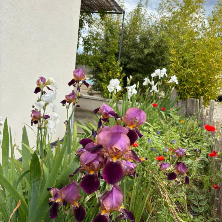 Maison Plume en Provence - Casa con 1 Camera da Letto - 41