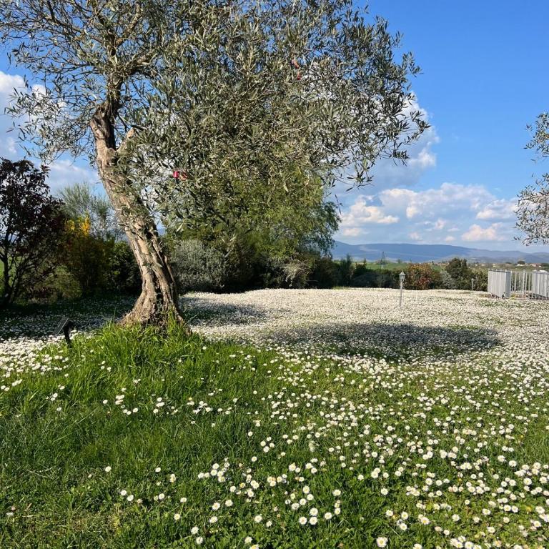 Villa Bellora - Villa con 3 Camere da Letto - 14