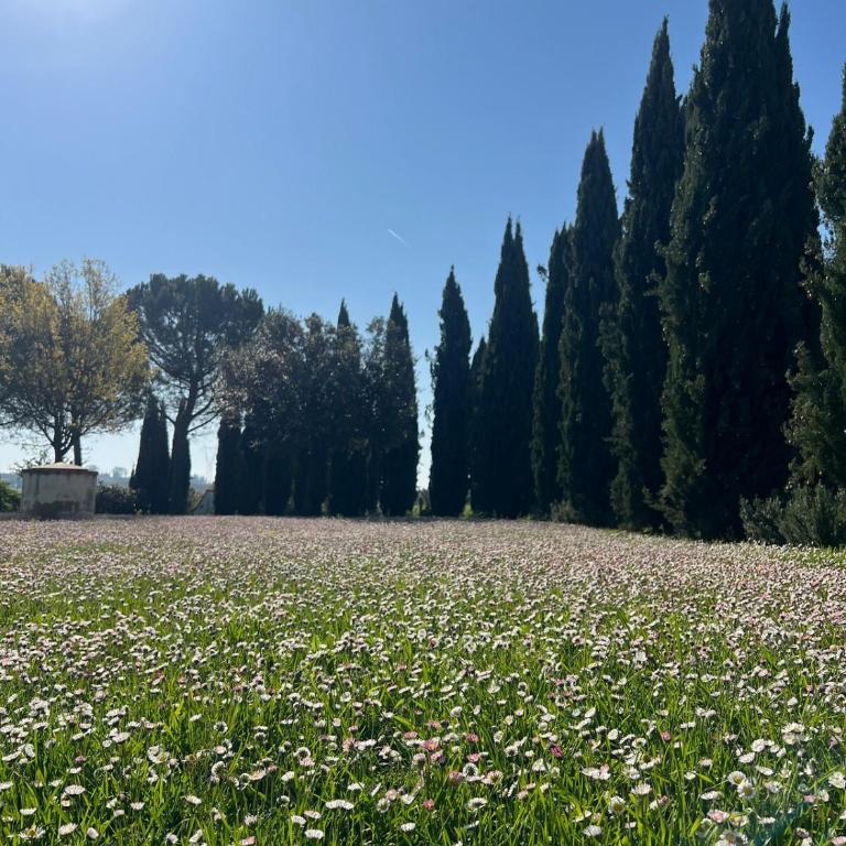 Villa Bellora - Villa con 3 Camere da Letto - 23