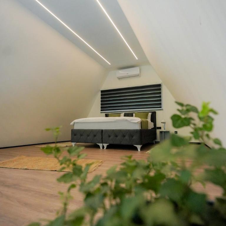 Unea House - Two-Bedroom Apartment - 11
