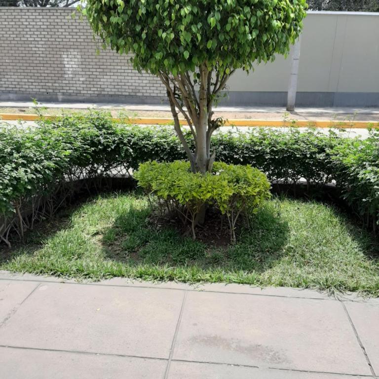 Groundfloor, onebedroom apartment - One-Bedroom Apartment - 15