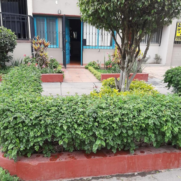 Groundfloor, onebedroom apartment - One-Bedroom Apartment - 18