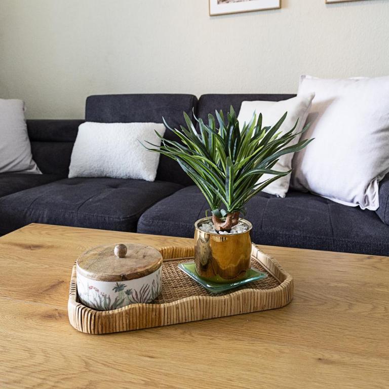 Costa Azul 5 L - Apartamento - 17