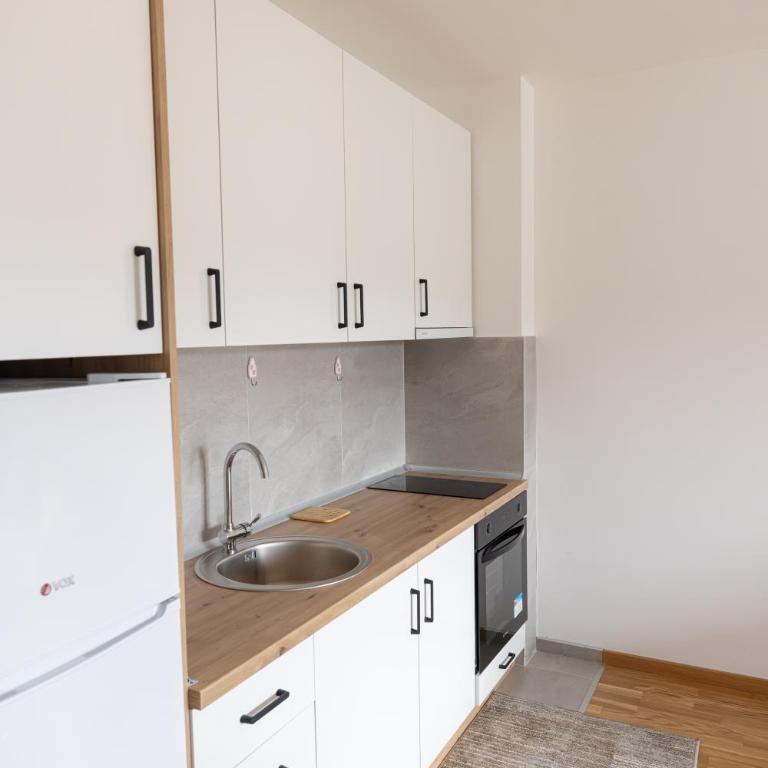 Apartman STEFAN - Apartman sa 1 Spavaćom Sobom - 19