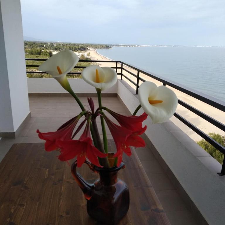 Mediterrani - Primera linea de mar - Apartamento de 3 dormitorios - 1
