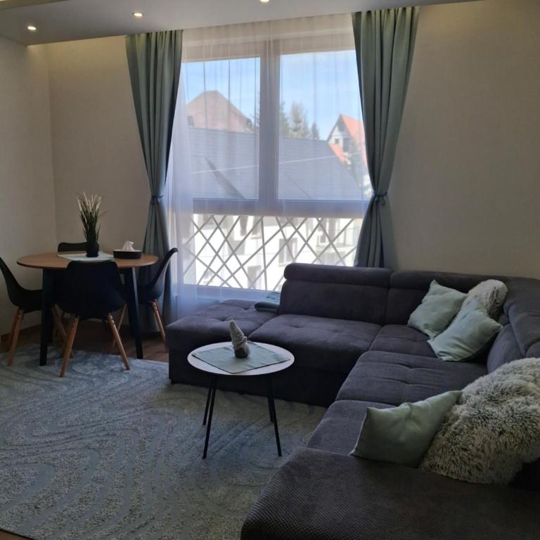 Kopaonik-President kop APP Katarina I - One-Bedroom Apartment - 6