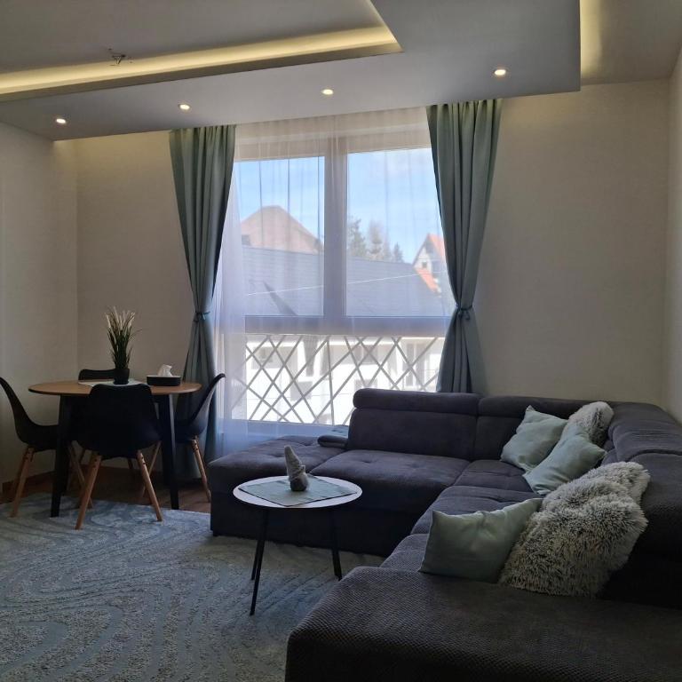 Kopaonik-President kop APP Katarina I - One-Bedroom Apartment - 7