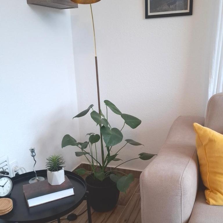 Sunnyside apartments, Pale, Ravna Planina, 4 kuce, 16 osoba - One-Bedroom House - 7
