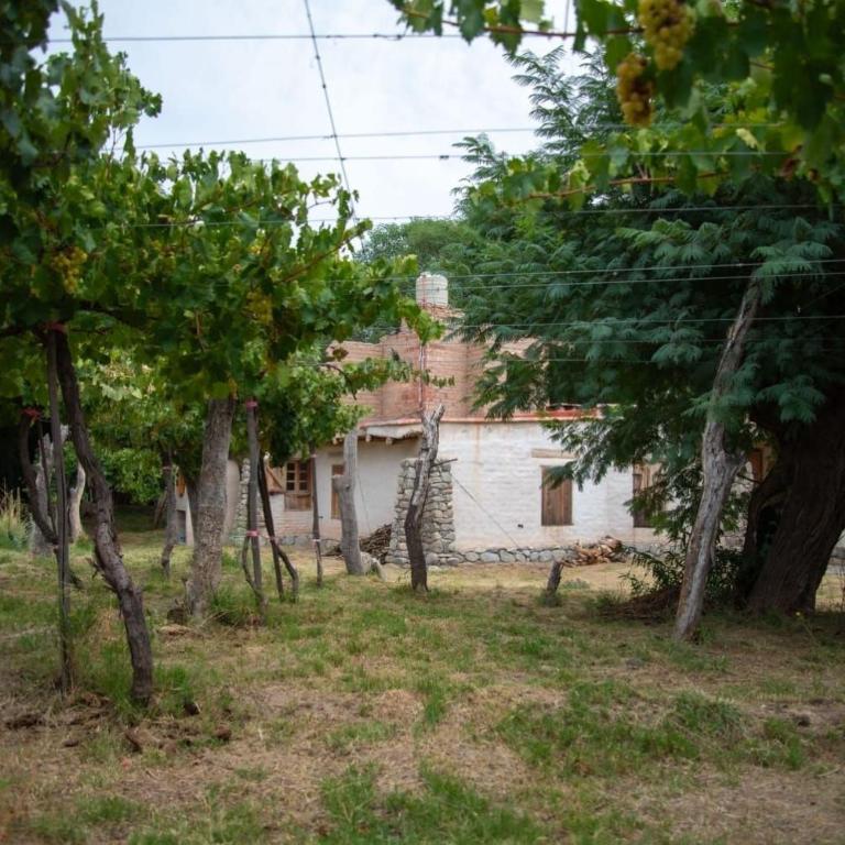 Cerco del Trigo - Casa de 2 dormitorios - 8