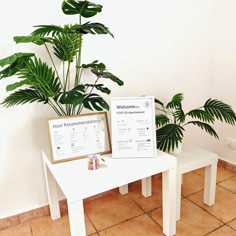 Foce24 - City Garden - - Appartamento con 1 Camera da Letto - 4