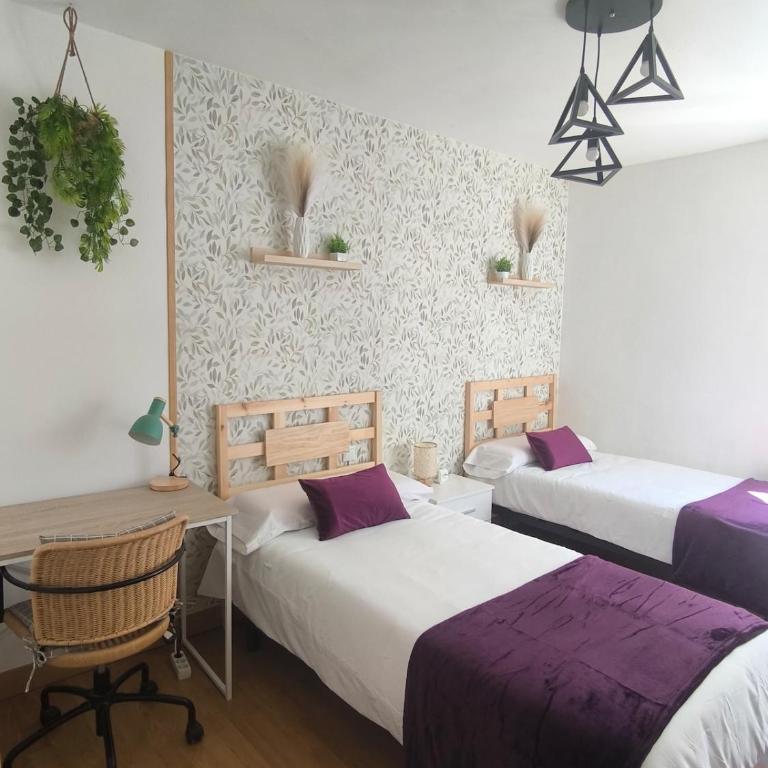 Estancia acogedora y con encanto en centro de León - Apartamento de 2 dormitorios - 2