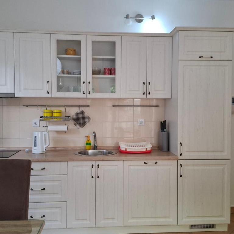 Apartman Stijepčić - Apartment - 25
